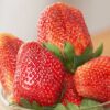 สตรอเบอร์รี่