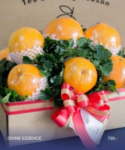 019 True Comfort (กระเช้าแห่งความสบายใจที่แท้จริง)