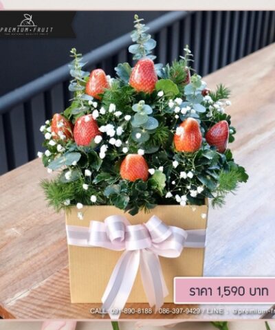 Valentine Day 40