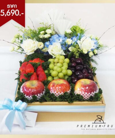 ชุดเกษียณอายุราชการ 19