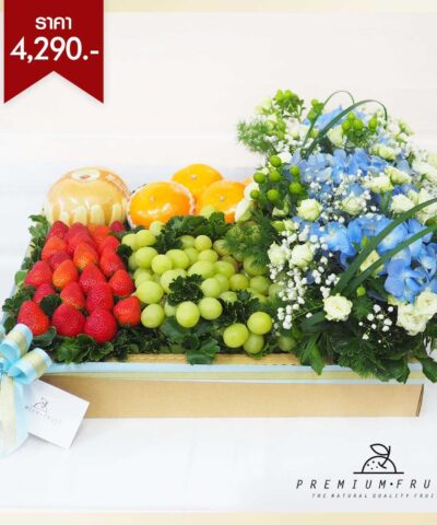 ชุดเกษียณอายุราชการ 27