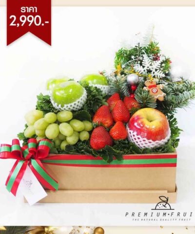 Happy New Year Collection 02