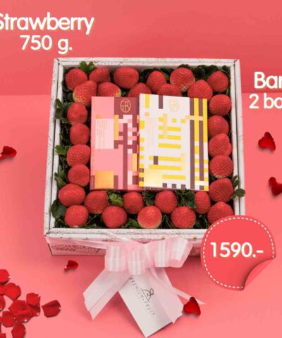 Happy Valentine Day Set 2024