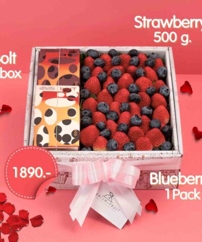 Happy Valentine Day Set 2024