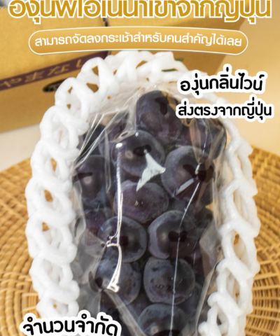 ชาไทย