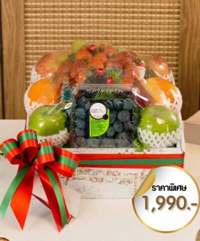 Collection 2025 New year set 12