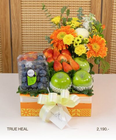 002 True Heal (กระเช้าแห่งการฟื้นฟูที่แท้จริง)