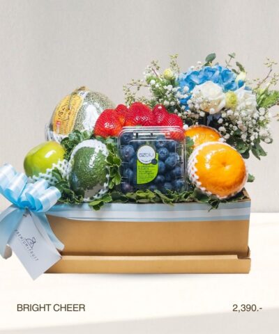 15 Bright Cheer (กระเช้าแห่งความสดใสและกำลังใจ)