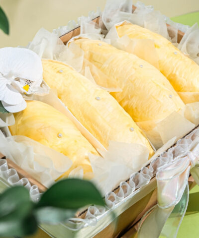 Alternative view of 009-Golden Blessing Durian