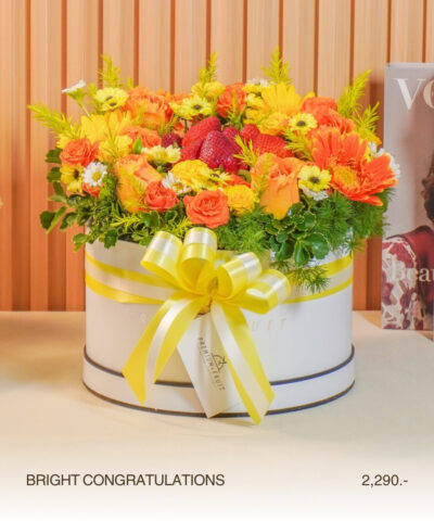 004-Bright Congratulations