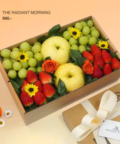 000-The Radiant Morning